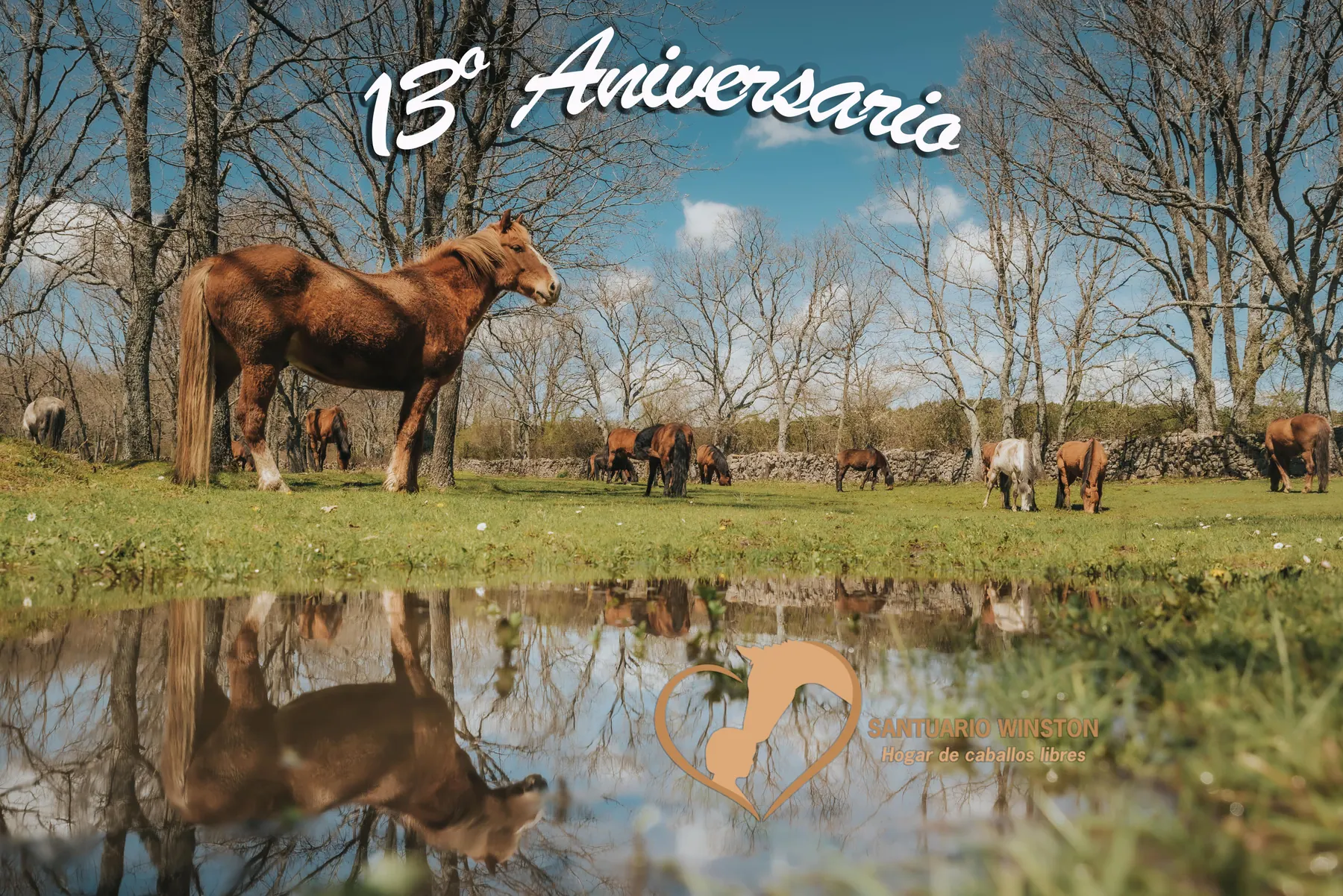 Décimo tercer aniversario