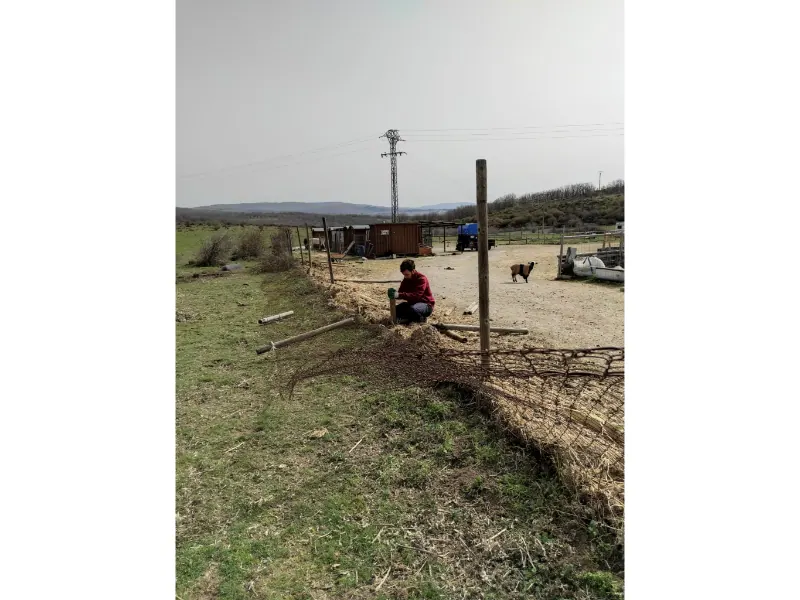 Voluntariado en Santuario Winston